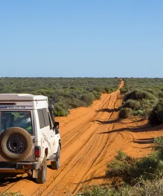 Fahre mit dem 4x4 durch das Outback